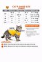 Yellow Hellok 6 Cat Printed Cat Tshirt Size S Cat Clothing (100% Cotton Combed) - 5