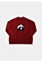 Regular Fit Round Neck Printed Women's Red Sweater - 5