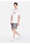 Comfort Fit Mid Waist Plain Men's Gray Shorts - 3