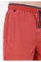 Slim Fit Men's Red Swim Shorts - 5