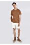 Regular Fit Round Neck Striped Men's Brown Short Sleeve T-Shirt - 3