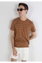 Regular Fit Round Neck Striped Men's Brown Short Sleeve T-Shirt - 4