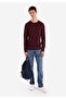 Regular Fit Round Neck Jacquard Men's Purple Knitwear Sweater - 3
