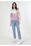 Regular Fit Patterned Multi-Colored Women's Knitwear Sweater Cl1062226