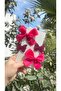 Clara Fuchsia Clip Buckle Set (5/3 cm Metal Buckle) - 2