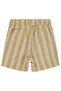 Striped 6-18 Months Shorts - Mustard - 2