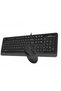 A4TECH F1010 لوحة مفاتيح سلكية USB Q Trk باللون الأسود/الرمادي - مجموعة ماوس - 2