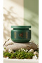 Herbal Plant Mask - Hair Care Mask 300 ml - 3
