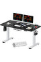 FLEXISPOT EN2 Electric Sit Stand Desk with Cable Management - White Frame and Black Top