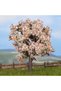 Fruit Tree 7.5 cm - 2