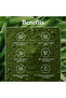 OLE Nutrients Wheatgrass Juice Powder - 3