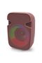 Portable Bluetooth Speaker - 3