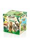 Recall Cards Game for Kids - Animals