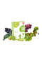 SIMPLY FILS Veggie Wafers Crisps- Kale+Kiwi Grape Juice 25g - 2