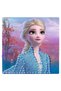 - Set creativ Frozen II - 2