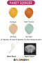 Balloon Set 120 Pieces (Turmeric-Burnt Orange-Desert Sand-Winter Green) - 2