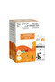 TEAFIT Instant Ginger Premix 10 Pcs | 14 g