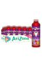 Fruit Punch 591ml (24 Pack)