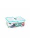 4 Side Locked Plastic Container - 2