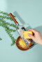 Stainless Steel Hand Grater with Wooden Handle – Cheese, Vegetable, Chocolate Grater Kitchen Grater Tool - 2