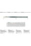1270 Series Brush No:2 Nova Synthetic Round Long Signage Lettering Brush - 4