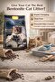 Cat Litter Bentonite 10L | Coffee Scented Litter, Premium Cat Litter, Dust Free & Clumping Litter | - 3