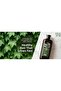 Ivy & Ginger Extract Shampoo 500 ml – Strengthening Hair Care Shampoo That Supports Hair Growth - 2