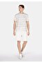 Regular Fit Cotton Lu Round Neck Striped Men's White Short Sleeve T-Shirt - 3