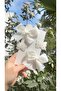 Clara White Clip Buckle Set (5/3 cm Metal Buckle) - 2