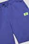 Bg Store Boys' Purple Shorts - 6