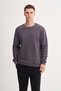Thick Diagonal Textured 100% Cotton 3 Thread Regular Fit Sweatshirt (25K) - 2