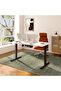 FLEXISPOT EN2 150x60 cm Electric Sit Stand Desk with Cable Management - Black Frame and White Top - 2