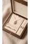 316 L Steel Necklace, Anti-Tarnish, Anti-Allergic, with Zirconium Figure (2 Years Importer Guarantee) - 2