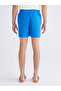 Nevavm Short Length Garfield Licensed Men's Swim Shorts with Difference in Length - 4