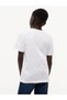 Boys T-Shirts - 3