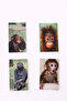 Capture Your Mood Party Game 56 Cards Fun Friend Family Box Game Mod Game 6. Series - 2