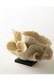 Margot Biblo - Krem - 4