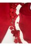 Heart and Lace Baby Girl Hospital Discharge Set, 10-Piece Bodysuit Set, Boxed, 0-3 Months - 5