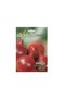 Onion Tropea Rossa Round Seeds