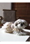 Dog and Cat Dress - 3