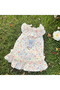 Dog and Cat Dress