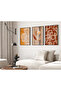 Wall Poster Frame Set of 3 (30x40 cm) Home Decor with 2 cm Outer Frame