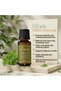 Thyme Essential Oil - Origanum Onites Oil - Cretan Oregano - Essential Oil - 10 ml - 3