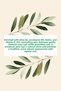 Olive Oil Care Shampoo-For All Hair Types - 3