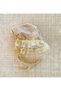 New Model 100% Organic Cotton Muslin Guipure Detailed Mink Gold Baby Mevlüt Evening Dress Hat - 5