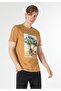 Regular Fit Round Neck Men's Brown Short Sleeve T-Shirt - 4