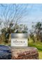Vitamin C Serum & Anti-Blemish Sunscreen & Anti-Aging Anti-Aging Moisturizer - 8
