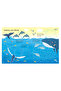Wipe-Clean Under the Sea Activities Publishing - 4