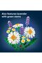 Botanicals Daisies - 4