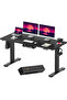 FLEXISPOT EN2 150x60 cm Electric Sit Stand Desk with Cable Management - Black Frame and Top